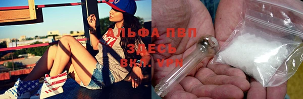 мдпв Гусь-Хрустальный